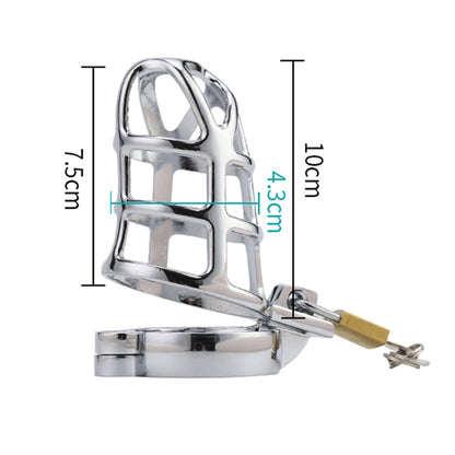 Alloy Chastity Devices Cock Cage Penis Lock