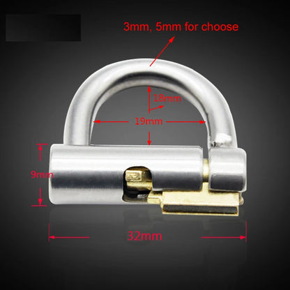 PA Penis Glans Piercing Lock Chastity Cage