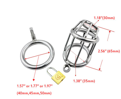 Chastity Device Cock Cage Chastity Lock