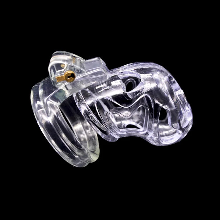 Chastity Device Cock Cage with 4 Size Base Ring