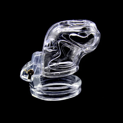 Chastity Device Cock Cage with 4 Size Base Ring